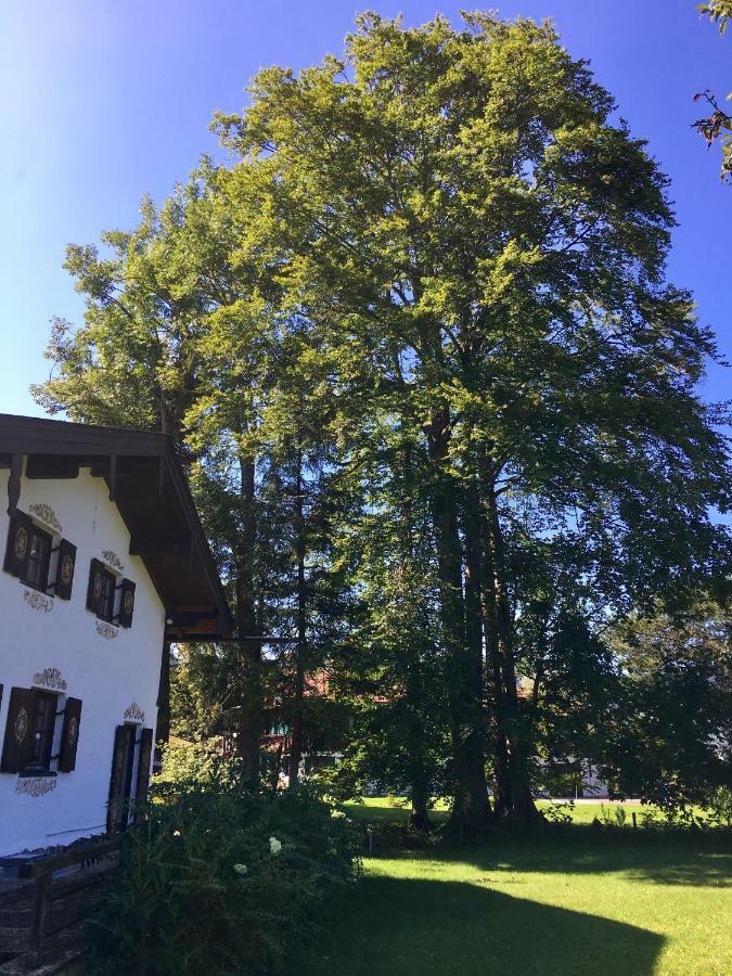 Traumhaftes Ferienhaus Direkt Am Tegernsee Роттах-Эгерн Экстерьер фото